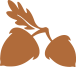 A'Dair acorn emblem